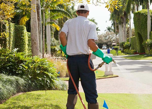 About Wurtsboro NY Pest Control